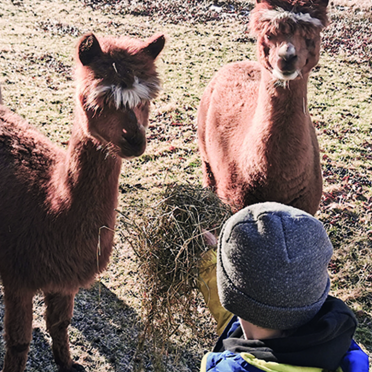 005_IMG_20220116_103911_alt2