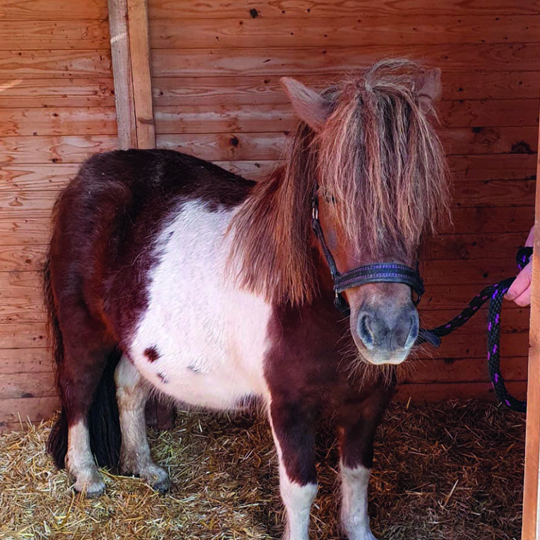 06_IMG-20220413-WA0013_alt