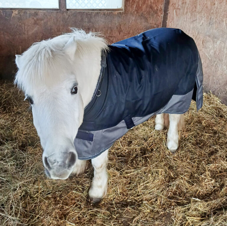 WhatsApp Bild 2025-05-06 um 22.54.31_6eec03cf Kopie