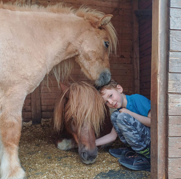 WhatsApp Bild 2025-05-06 um 22.54.31_6eec03cf Kopie2